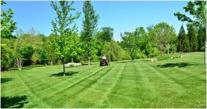 Why It Is Necessary to Allocate A Lawn Care Service