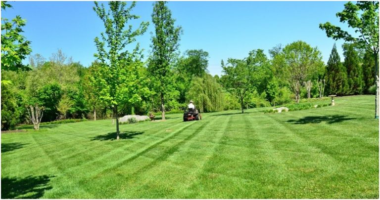 Why It Is Necessary to Allocate A Lawn Care Service