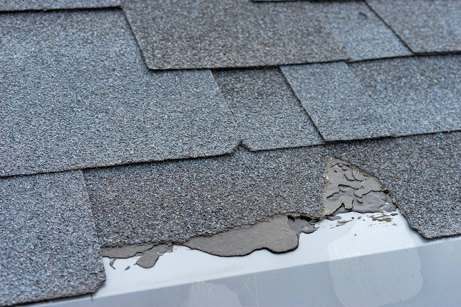 loseup View Of Asphalt Shingles Roof Damage That Needs Repair.