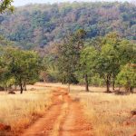 wildlife retreat Satpura