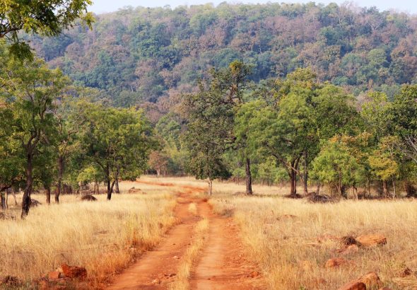 wildlife retreat Satpura