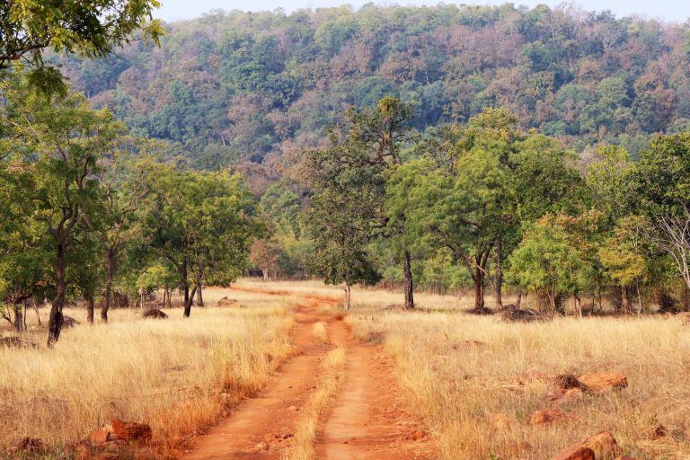 wildlife retreat Satpura